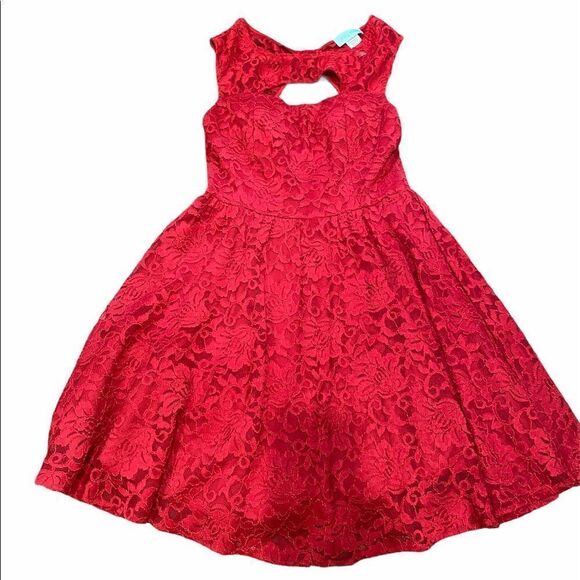 NWT Filly and Flair lace dress size large - Picture 1 of 6